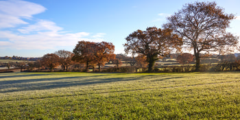Winter hedgerow with trees This landscape photograph captures a winter hedgerow with trees in Tapton Park, Chesterfield, United Kingdom, during the morning. The scene is characterised by the presence of trees lining the hedgerow, their branches displaying the effects of the cold season, while a layer of frost covers the grassy area, highlighting the winter atmosphere. The clear sky allows ample sunlight to illuminate the park, creating shadows and enhancing the natural beauty of the area. Nature is prominently featured, with the well-maintained park landscape reflecting the typical appearance of Chesterfield's Tapton Park in winter.